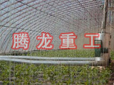 大棚花卉供暖設(shè)備、大棚卉采暖設(shè)備、大棚花卉取暖設(shè)備