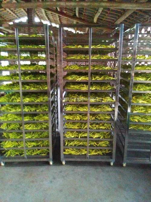 黃花菜烘干機(jī)、黃花菜烘干設(shè)備、黃花菜干燥機(jī)、黃花菜干燥設(shè)備、